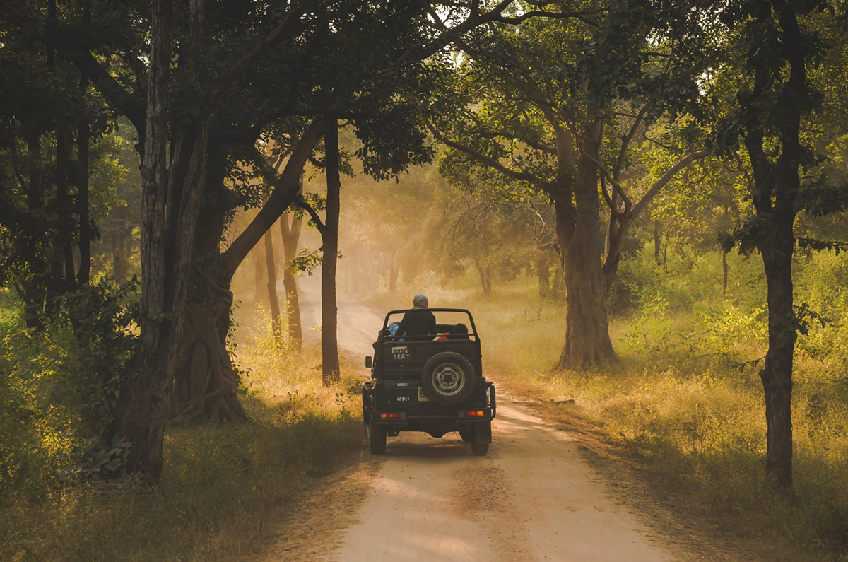 rukhadjunglecamp Trails camp - walking safari & guiding